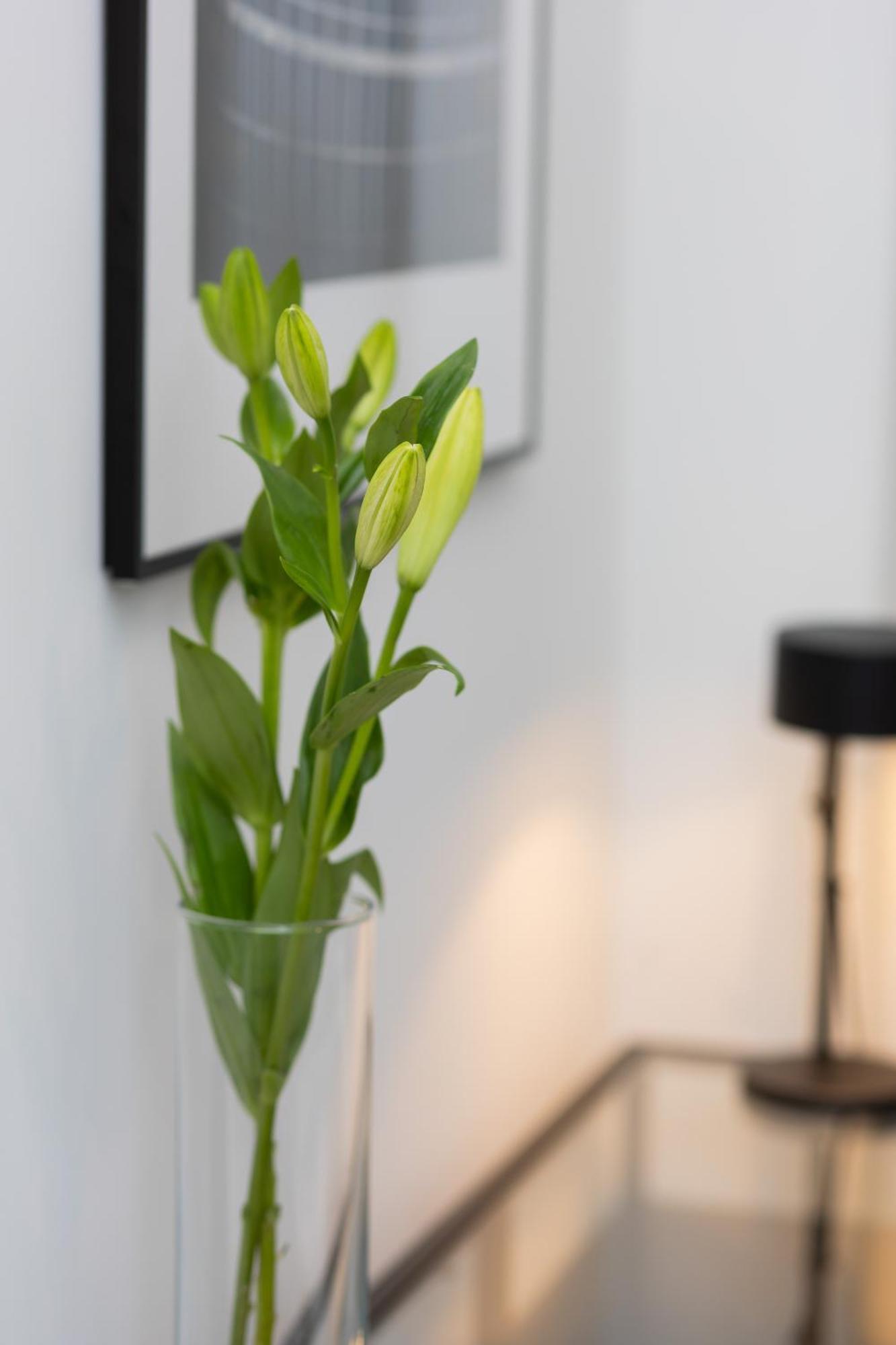 Cosy Dream City Center Apartment By Noclegi Renters Varşova Dış mekan fotoğraf
